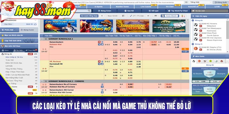 Các loại kèo tỷ lệ nhà cái nổi mà game thủ không thể bỏ lỡ