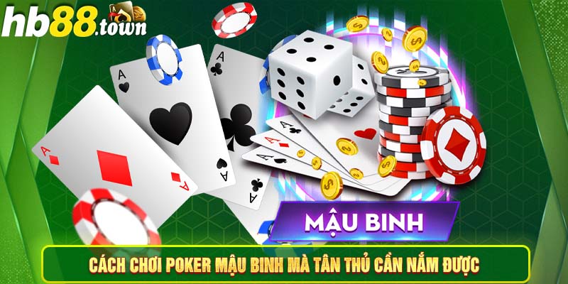 Cách chơi Poker Mậu Binh mà tân thủ cần nắm được