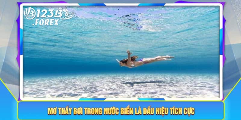 Mơ thấy bơi trong nước biển là dấu hiệu tích cực